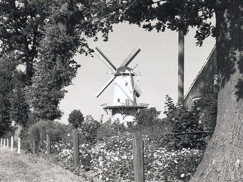 Korenmolen Veldkamps Meuln