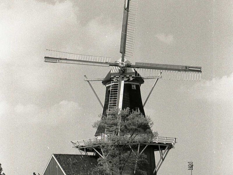 Koren- en pelmolen Molen Berg
