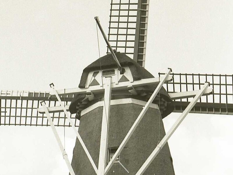 Koren- en pelmolen Germania