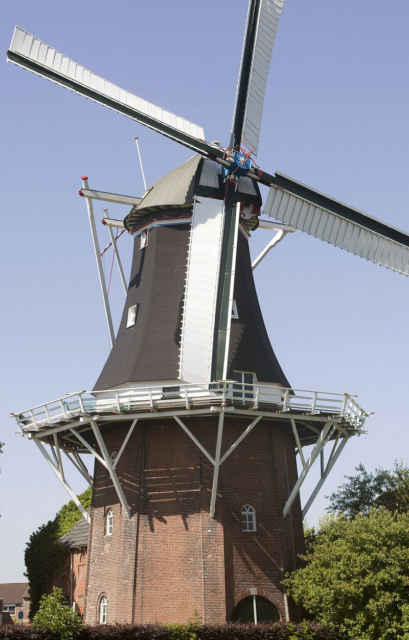 Koren- en pelmolen Molen Berg