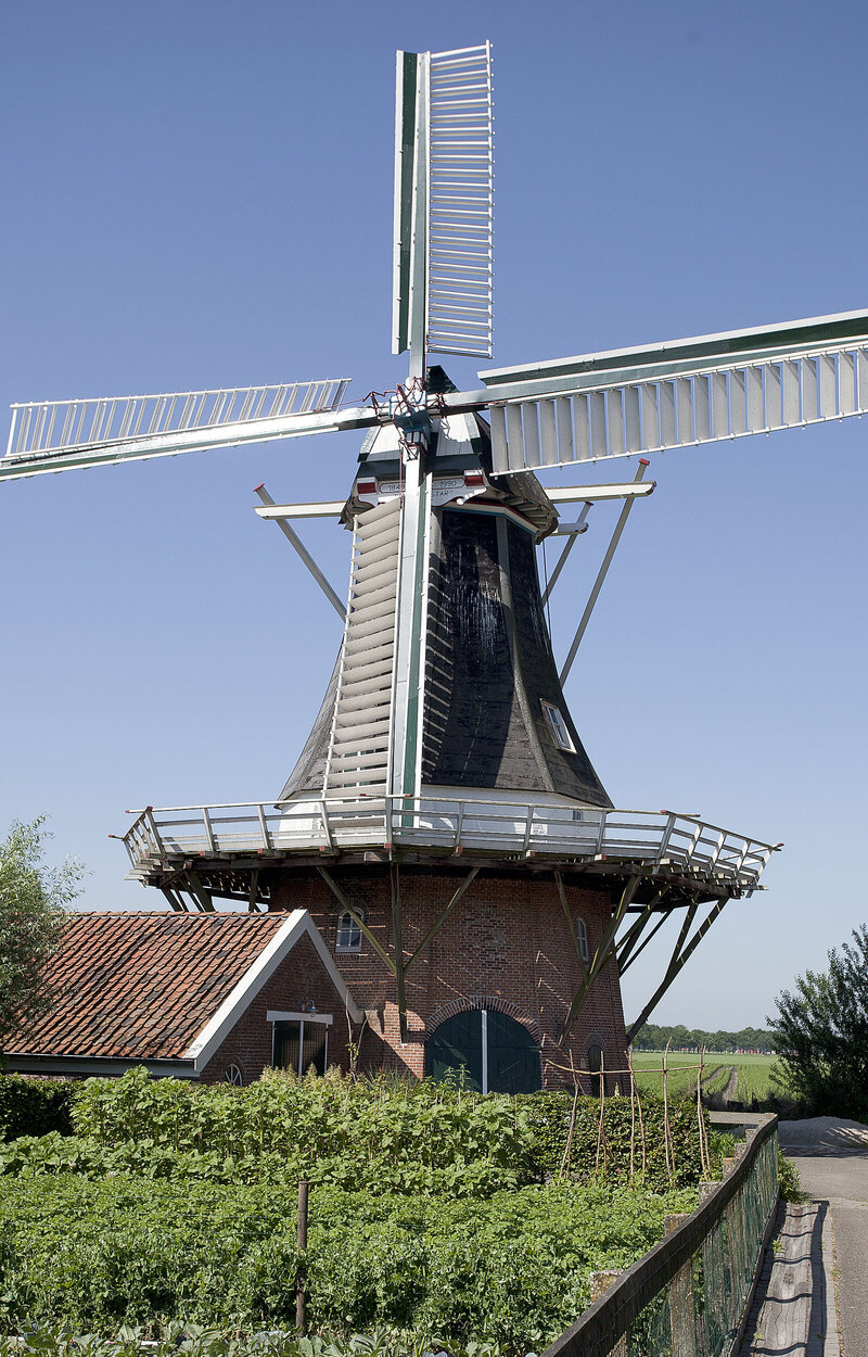 Koren- en pelmolen De Noordstar