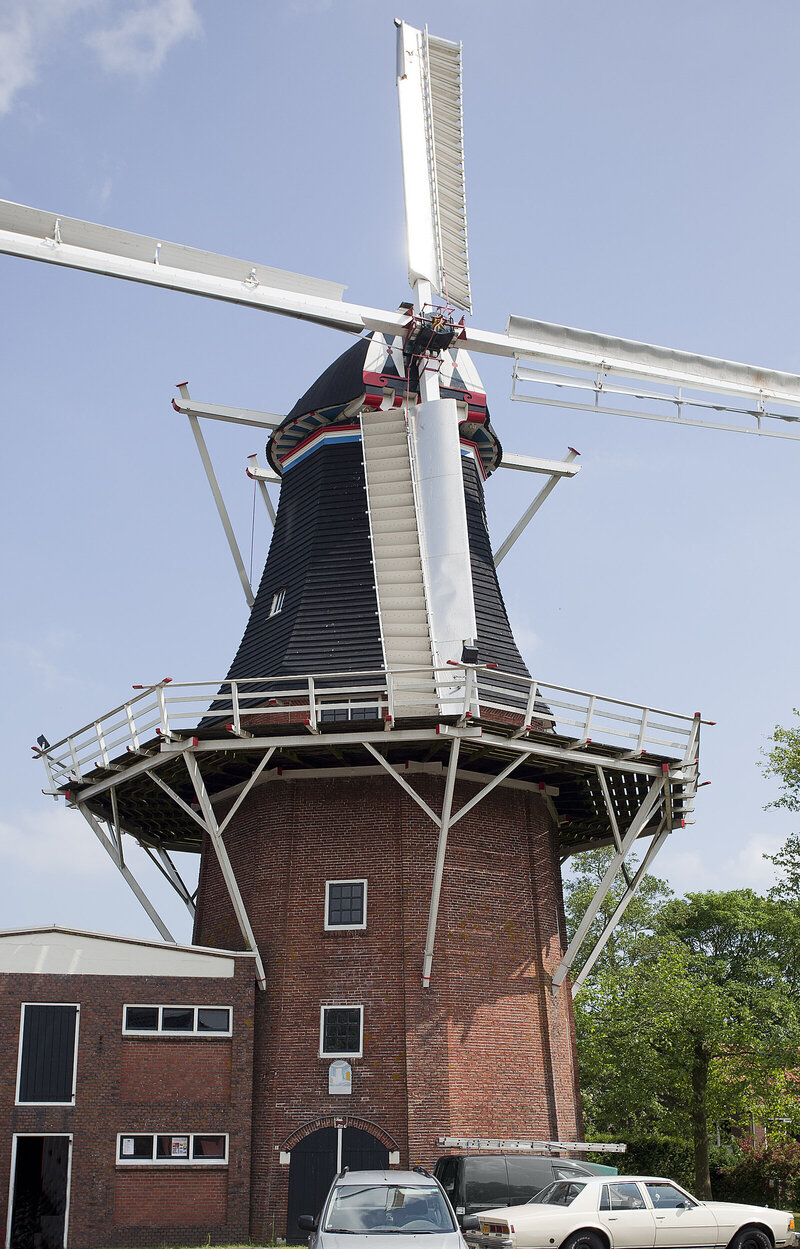 Koren- en pelmolen De Leeuw