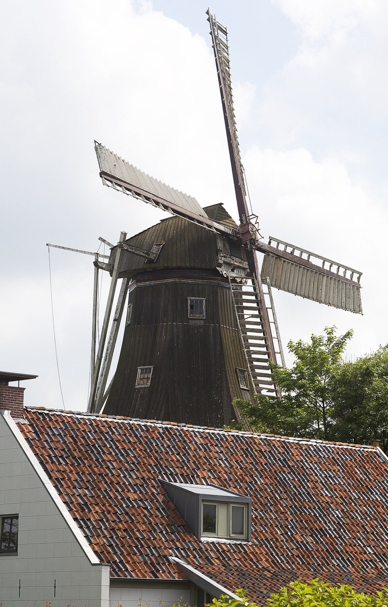 Koren- en pelmolen Aeolus