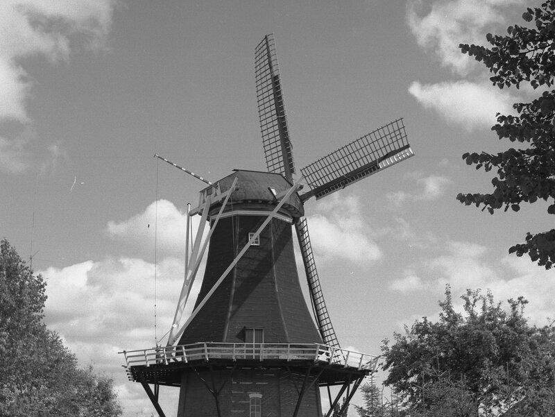 Korenmolen De Korenbloem