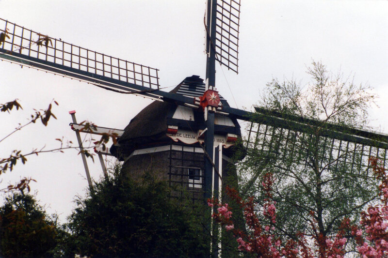 Koren- en pelmolen De Leeuw