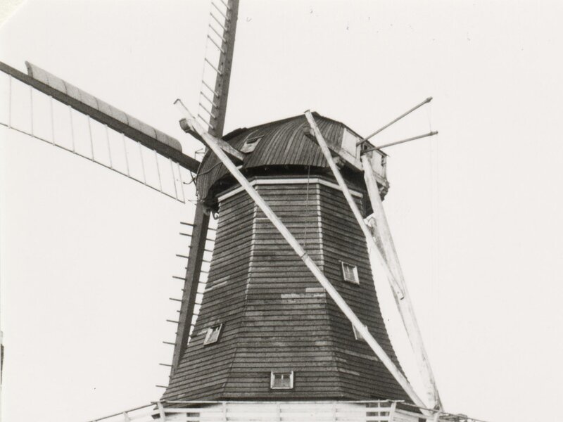 Koren- en pelmolen De Liefde