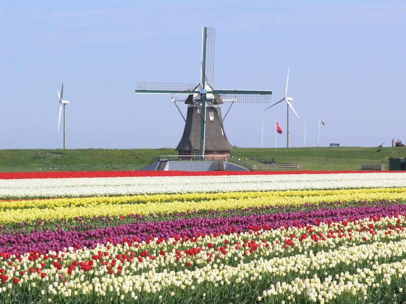 Poldermolen De Goliath