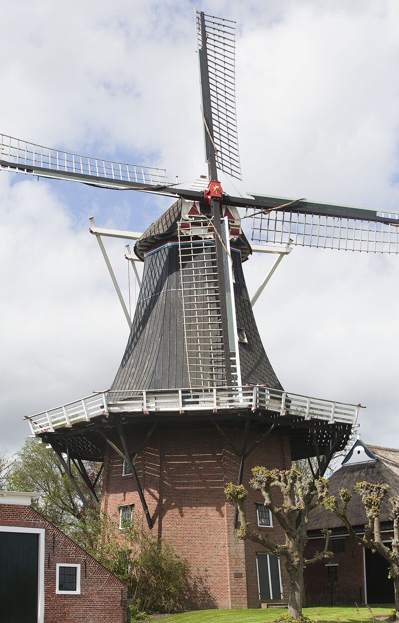 Koren- en pelmolen De Hoop