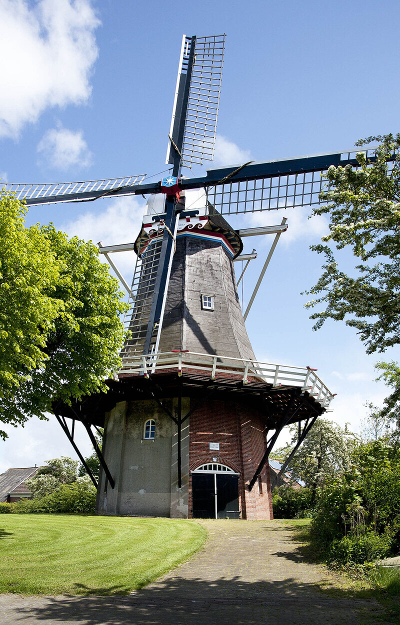Koren- en pelmolen De Vier Winden
