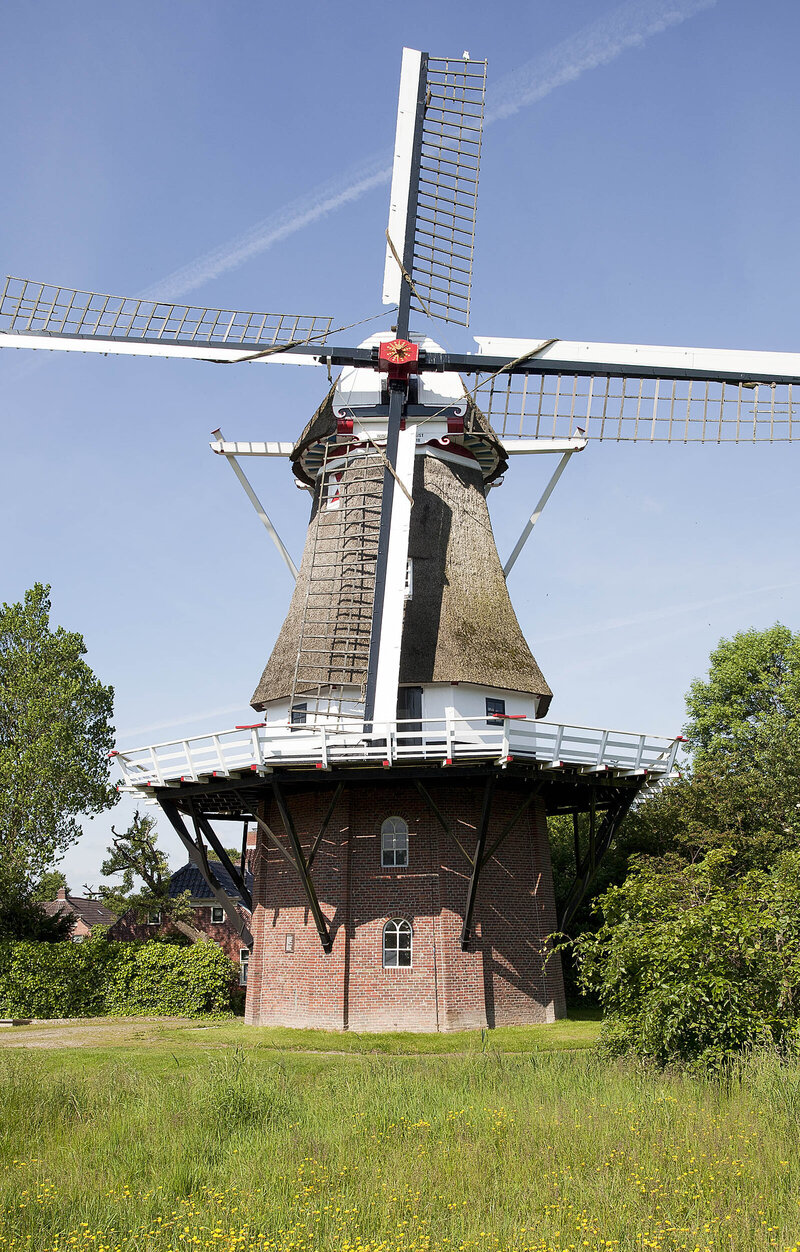 Koren- en pelmolen Windlust