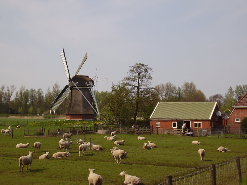 Poldermolen De Westerhorner