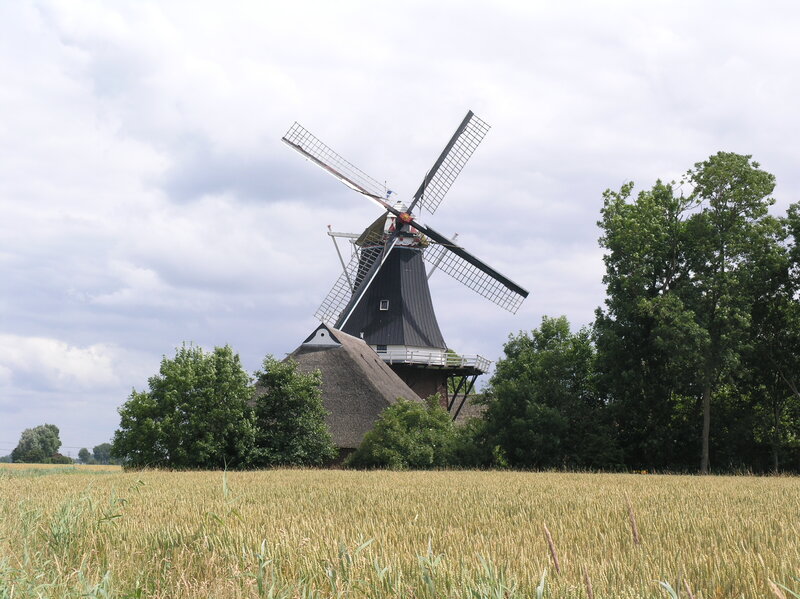 Koren- en pelmolen De Hoop