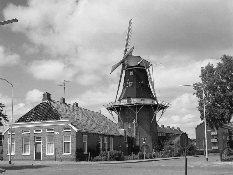 Koren- en pelmolen Molen Dijkstra