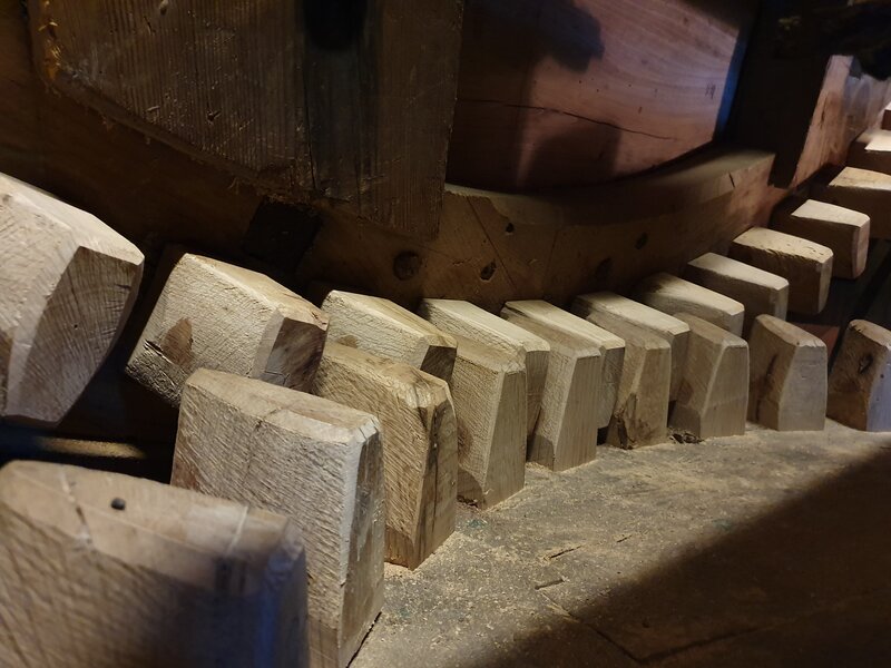 Koren- en pelmolen De Ster