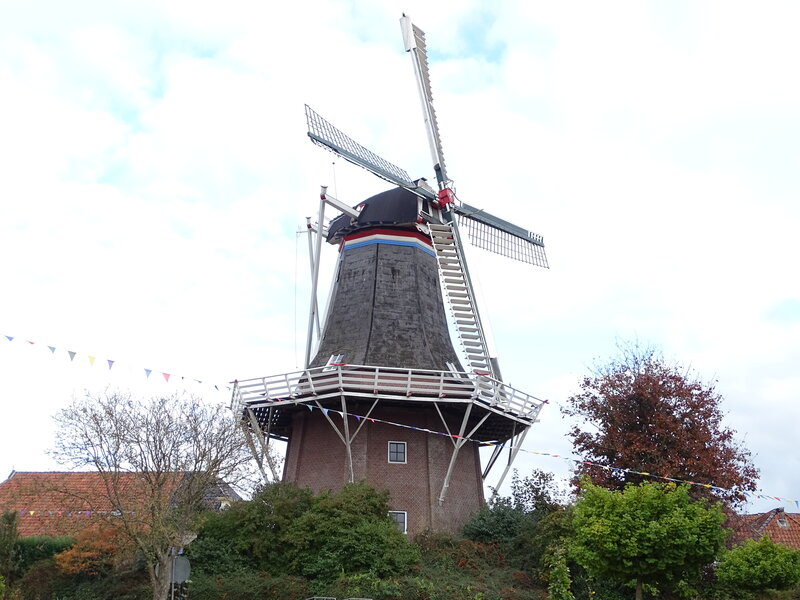 Koren- en pelmolen De Ster