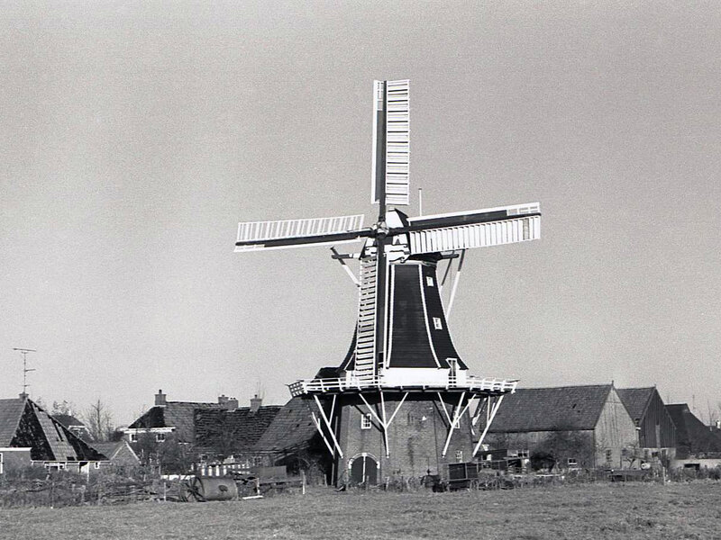 Koren- en pelmolen Aeolus