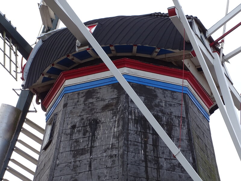 Koren- en pelmolen De Ster