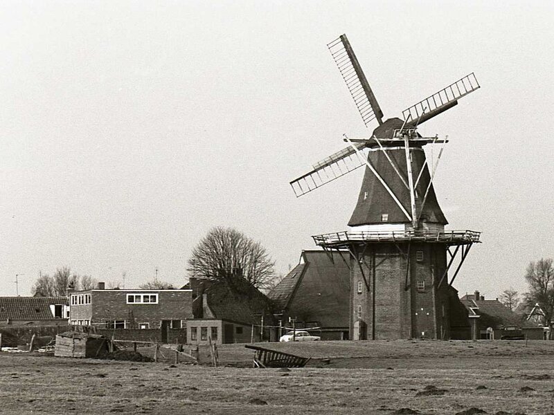 Koren- en pelmolen Grote Geert